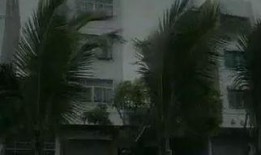 狂风暴雨爆料视频下载,揭秘事件背后惊人真相